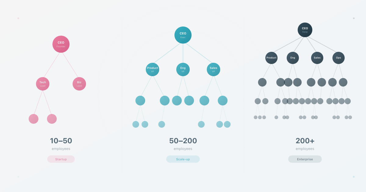 Org Chart Structure by Company Size (10 to 500) | HumanMap
